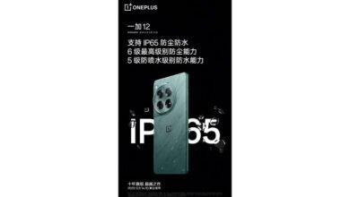 OnePlus-12-5400mAh-50W-wireless-Charging-Verified